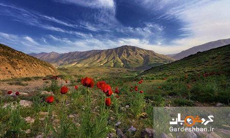 طبیعت زیبای دشت لار؛ عظیم ترین دره ایران، عکس