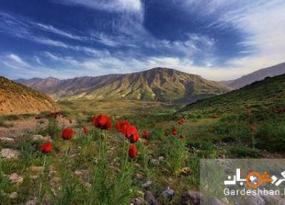 طبیعت زیبای دشت لار؛ عظیم ترین دره ایران، عکس